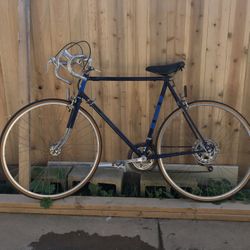 Raleigh Road Bike