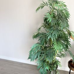 Faux Tall House Plant