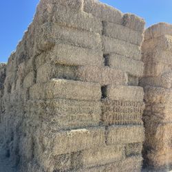 Hay For Sale 