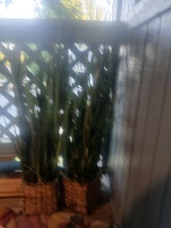 34' Set of 2 Tall Faux Grass /fake Onion Grass Floor Plants in Woven Baskets