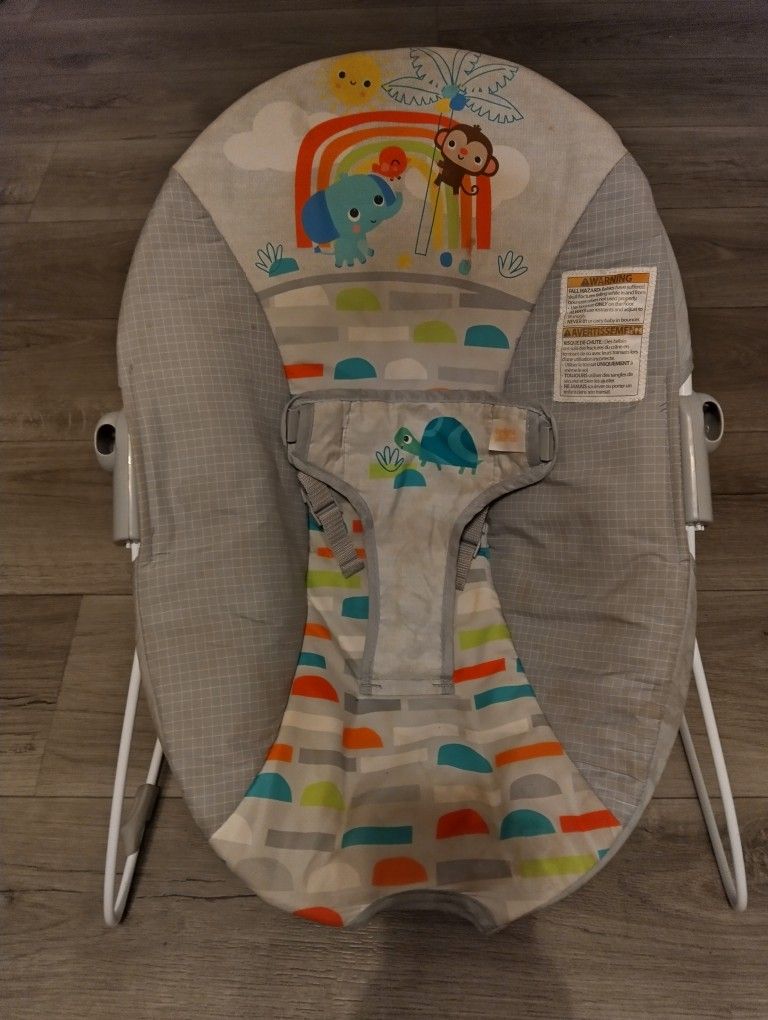 Baby Bouncer