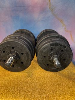 22 lb Dumbbells