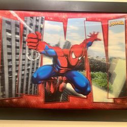 Spider Man 3D Frame 