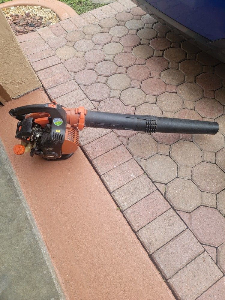 Echo Gas Blower