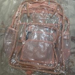 Transparent Backpack 