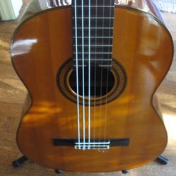 Yamaha 1/2 Scale Classical Acoustic Guitar 