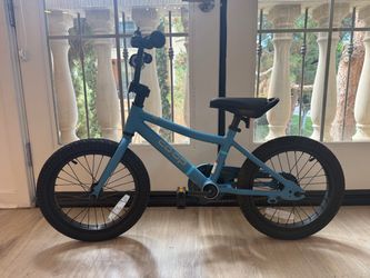 REI Co-op REV 16 kids bike with training wheels
