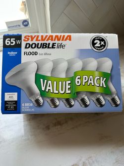6 pk 65 watt floods