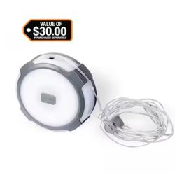 Defiant 250-Lumens 2-in 1 Multi-functional Rechargeable Utility light with String Light @Tools-868