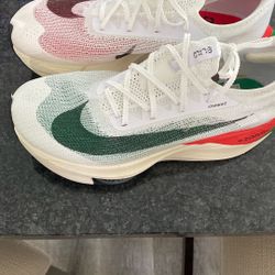 Kilchogee Nike Running Shoes