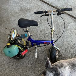 Pocket bike for sale 2nd hand hot sale