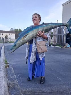 Fake Fish