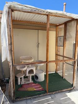 Catio