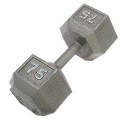 75lb Dumbbell