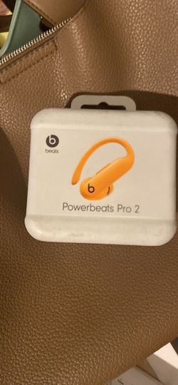 Beats Powerbeats Pro 2 Wireless Earbuds