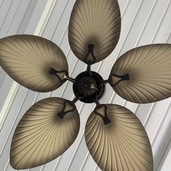 Outdoor Ceiling Fan 