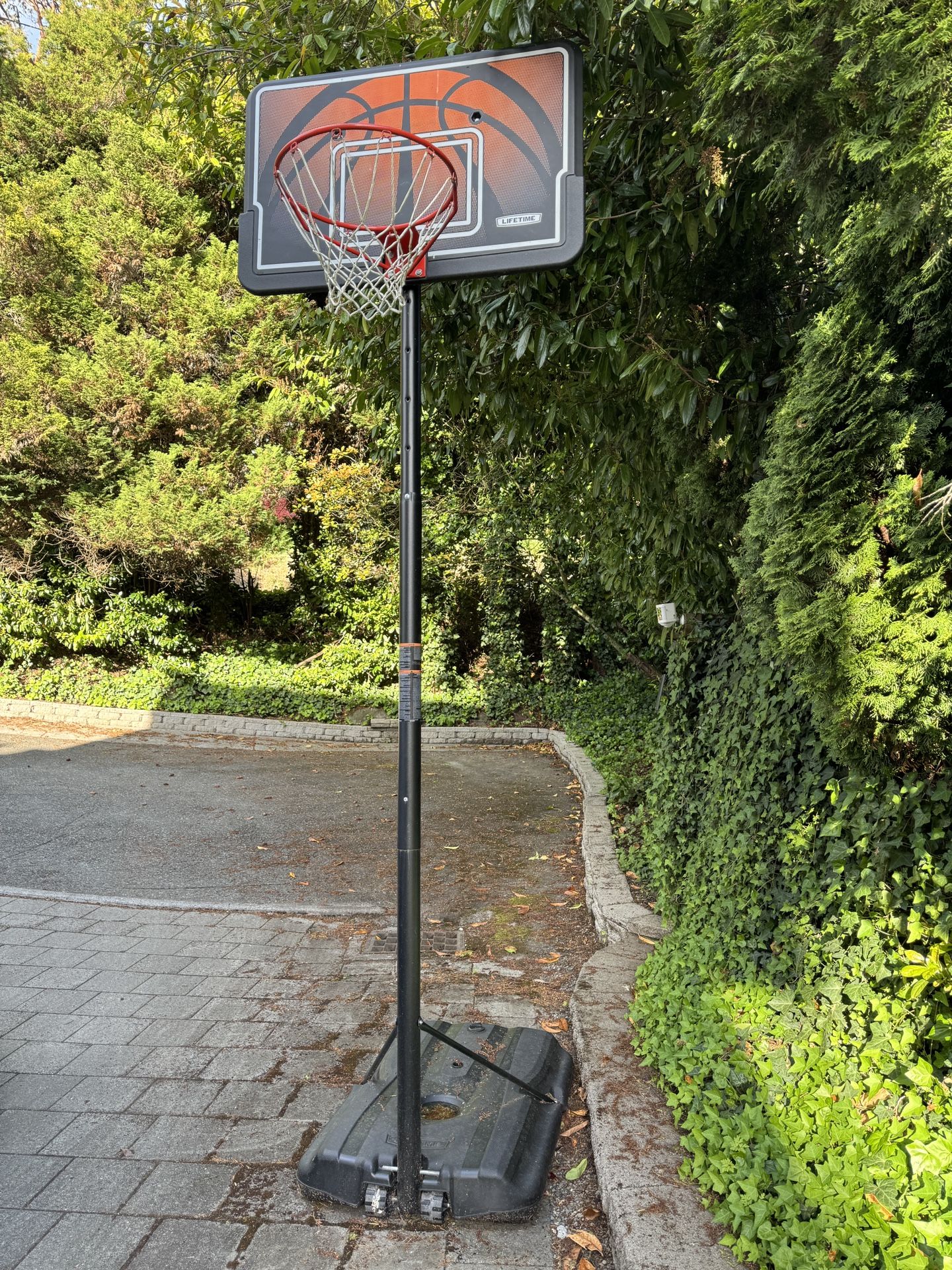 44 Inch Backboard Basketball Hoop