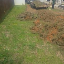  Sod Grass