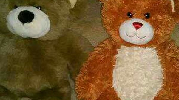 (2) Build a bear! High school musical bear & Bearemy Bear! Retired! 
