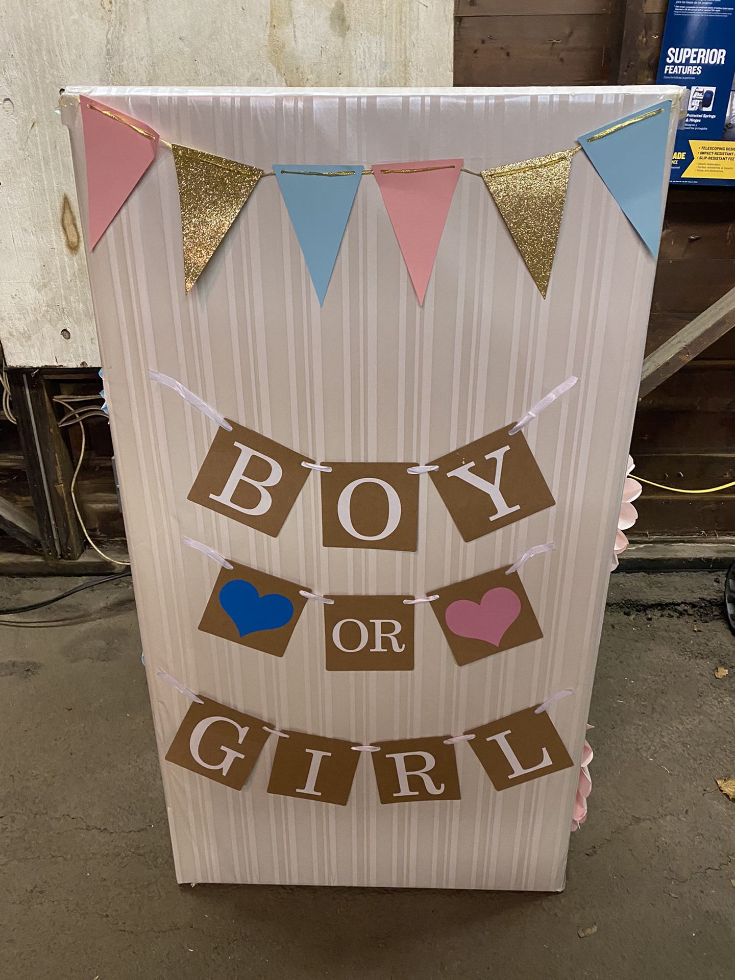Free Gender Reveal Box
