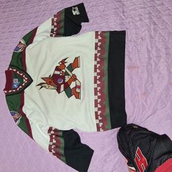Phoenix Coyotes Hokey Jersey 