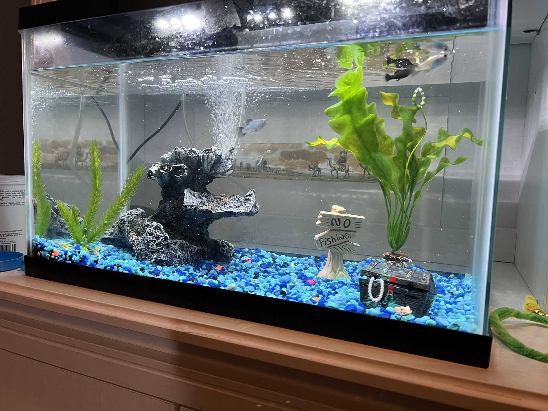 10gallon Fish Tank Aquarium With Additional Items