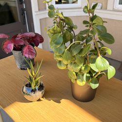 What ever you choose is $5-10