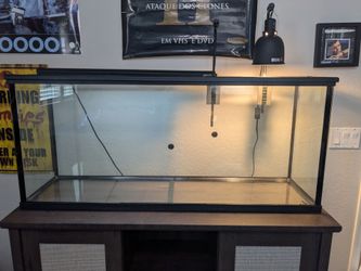 55-Gallon Reptile Terrarium Setup with Stand, Lighting & Accessories