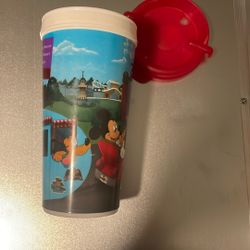 Walt Disney Tumbler Disney World 