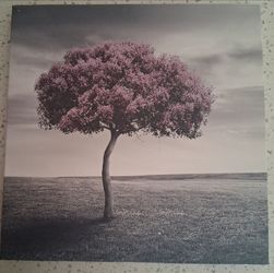 Canvas Wall Art Lone Tree Print