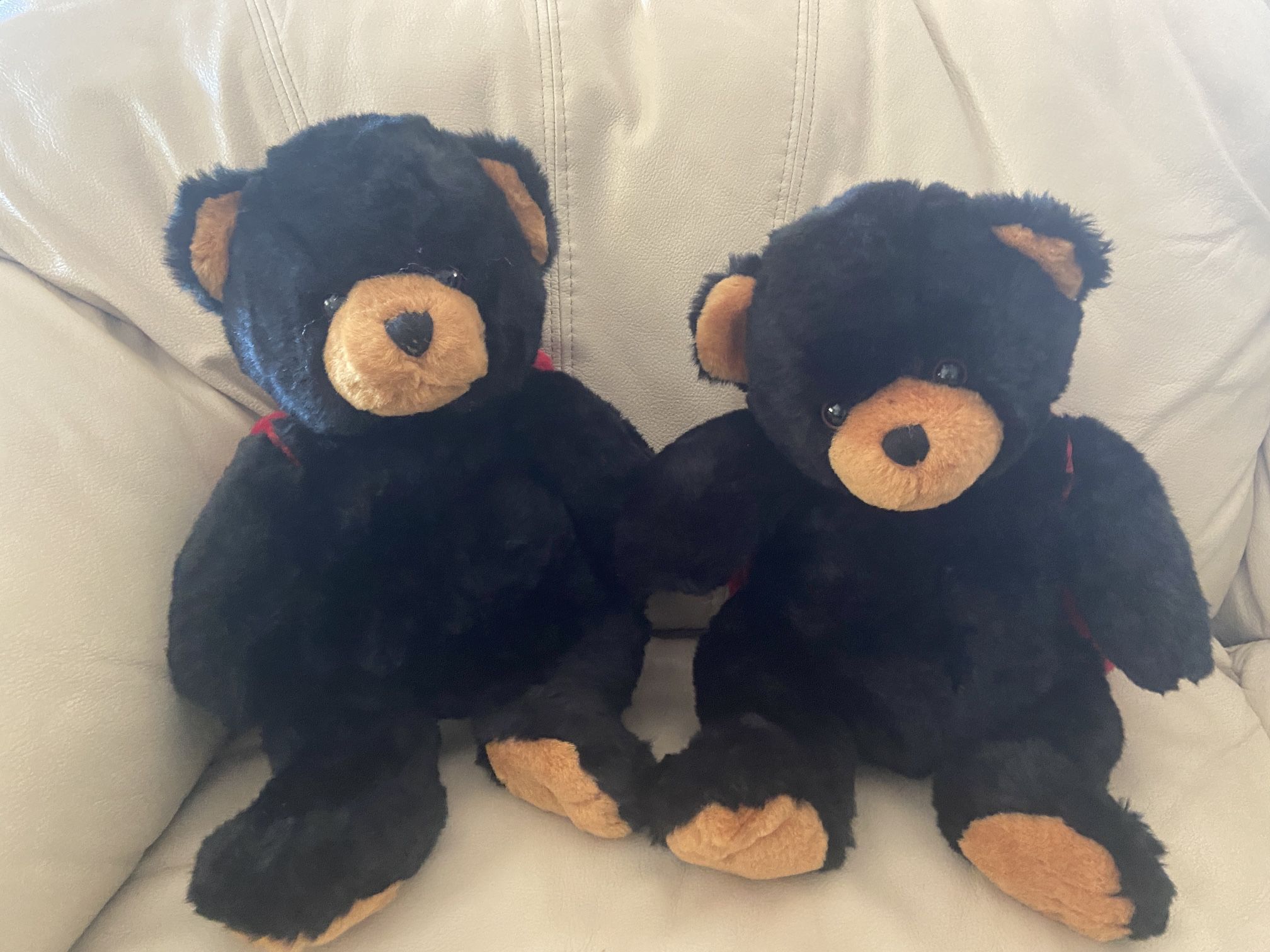 Teddy Bears With Lay Bug Wings
