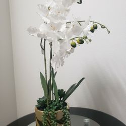 Fake plant 