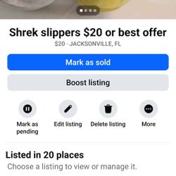 Shrek House Shoes 