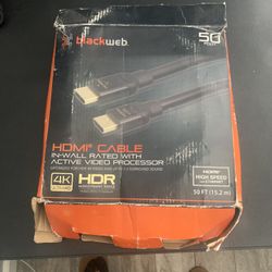 100 Ft HDMI Cable