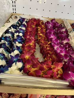 Graduation lei
