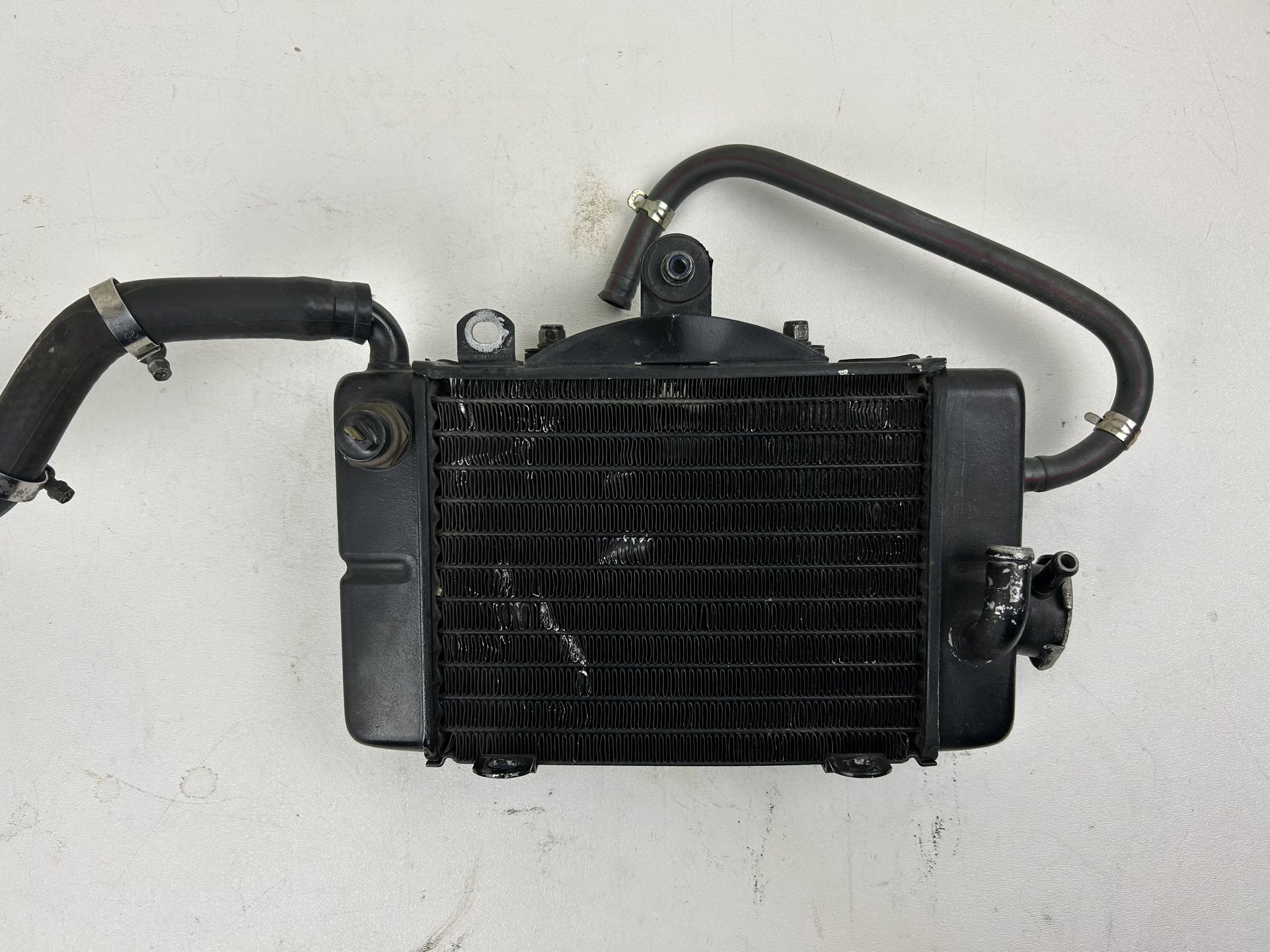 1989 Honda XL600V Transalp