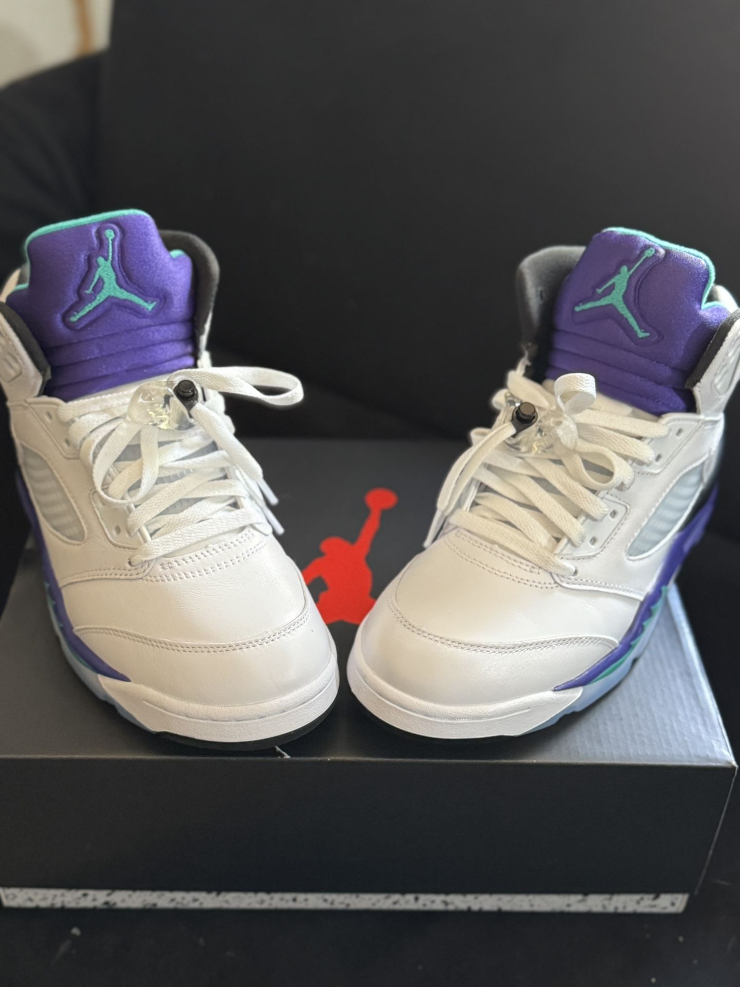 Jordan 5 “Grape”