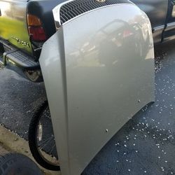 2000-2004 Toyota avalon Hood color gold