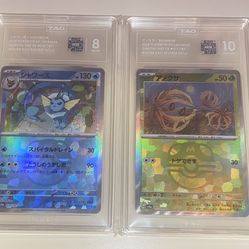 Pokémon Tag Masterballs Terastal Festival