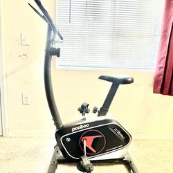 Cardio Magnetic Workout Bike