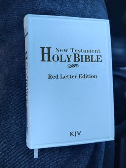 FREE Mini Bible