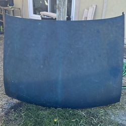 S10 Hood