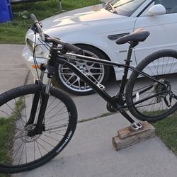 Cannondale Mountain Bike 29" Wheels And Allen Kid Trailer Combo