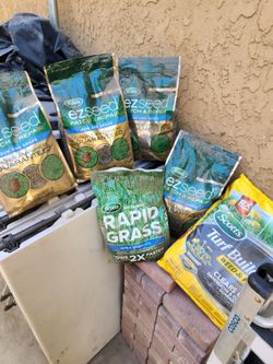 Grass seed
