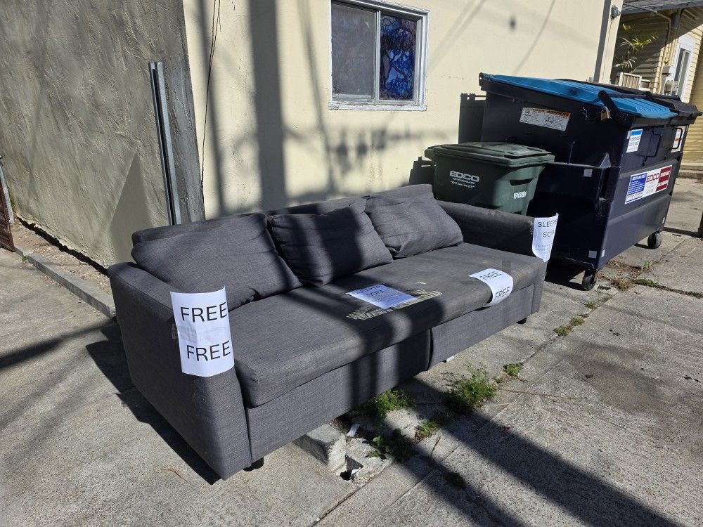 FREE Sleeper Sofa