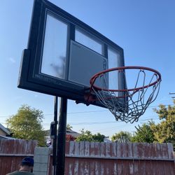 Basketball Court $35