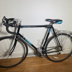 Trek 1100 Aluminum Road Bike - Complete 