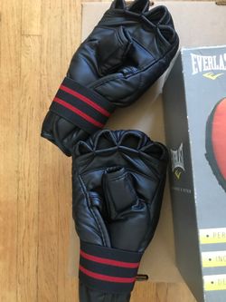 Everlast punching mitts and swift punching gloves