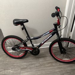 20 Inch Schwinn Falcon
