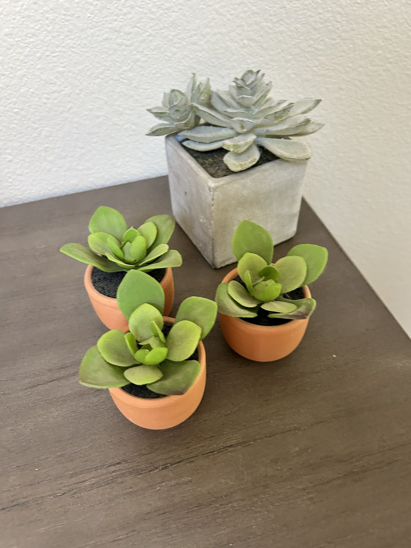 Cute Mini Fake Succulent Plants Take All For Five